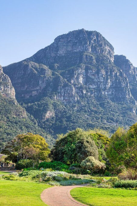 Kirstenbosch Botanical Garden and Constantia Wine Region - Vineyards and Historic Cellars