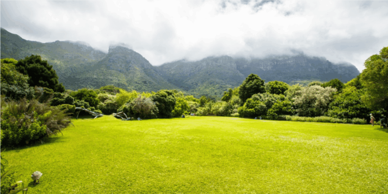Kirstenbosch Botanical Garden and Constantia Wine Tasting - Fynbos Ecosystem Exploration