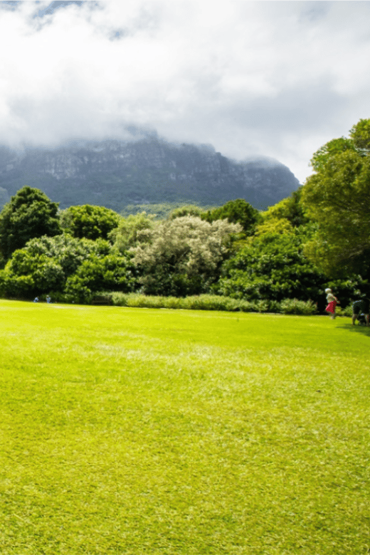 Kirstenbosch Botanical Garden and Constantia Wine Tasting - Wineries of Constantia Valley
