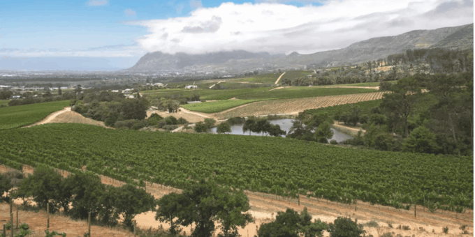Kirstenbosch Botanical Garden and Constantia Wine Tasting - Flexible Booking Options