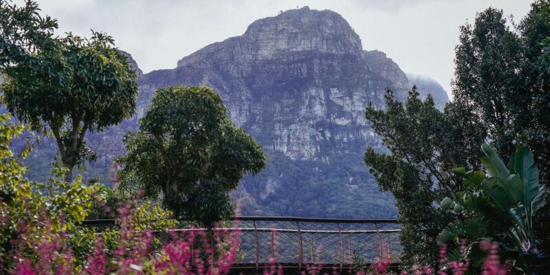 Kirstenbosch Botanical Garden and Constantia Wine Valley - Customer Reviews