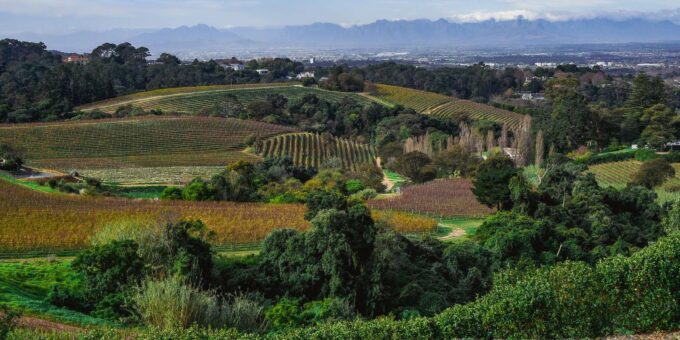 Kirstenbosch Botanical Garden and Constantia Wine Valley - Beau Constantia Boutique Winery