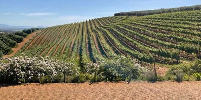 Kirstenbosch Botanical Gardens and Constantia Wine Tasting - Inclusions and Exclusions