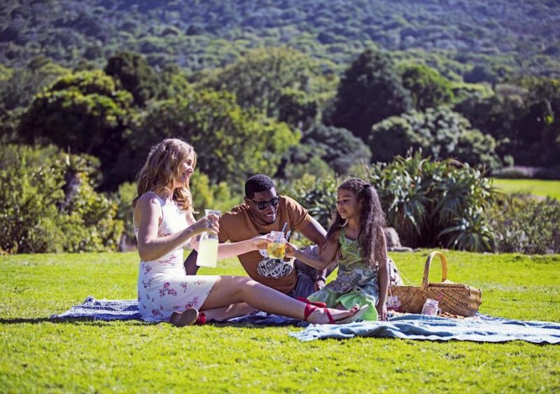 Kirstenbosch Garden, Bo-Kaap-Penguins & Cape Peninsula Tour - Boulders Beach Penguin Colony