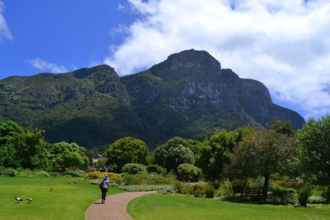 Kirstenbosch Garden, Bo-Kaap-Penguins & Cape Peninsula Tour - Breathtaking Chapmans Peak Drive