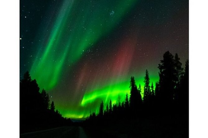 Kiruna -Abisko Aurora Tour With Local Guide - Abisko National Park