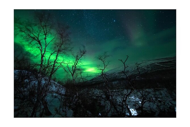 Kiruna -Abisko Aurora Tour With Local Guide - Tour Duration and Inclusions