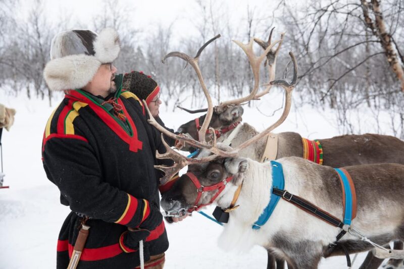 KIRUNA: Reindeer Sled Ride in the Countryside - Reindeer Sled Ride Itinerary