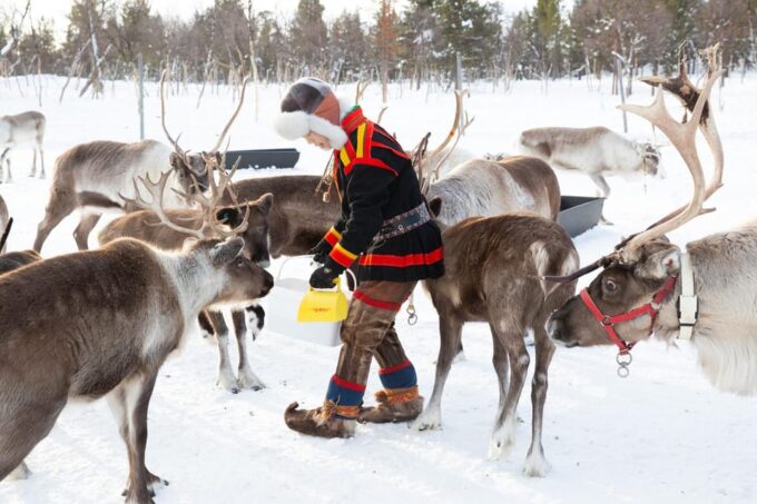 KIRUNA: Reindeer Sled Ride in the Countryside - Pickup and Transportation