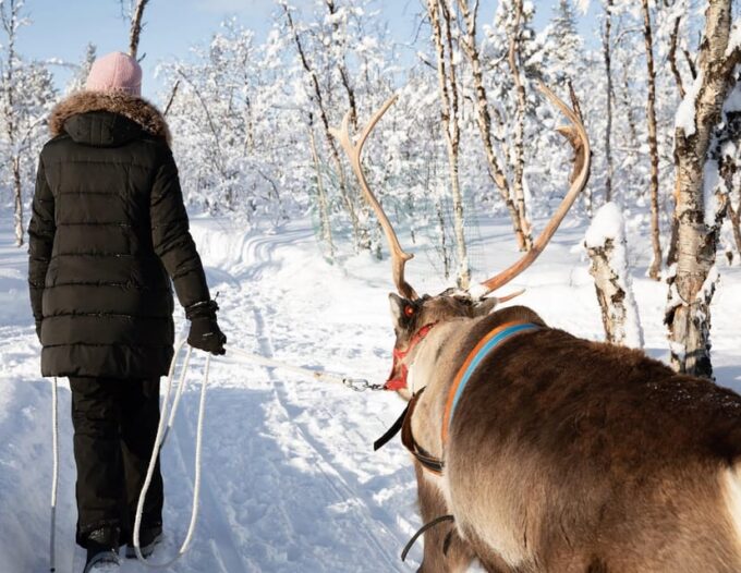 KIRUNA: Sami Reindeer Experience - Frequently Asked Questions
