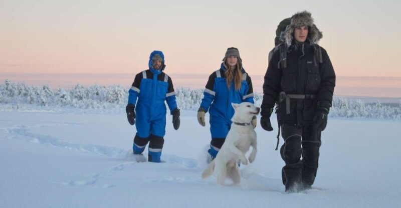 Kiruna: Snowshoe Hike & Ice Fishing Tour - Activities Included