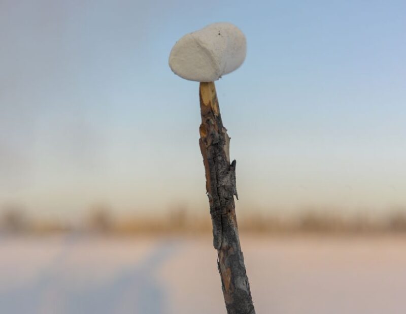 Kiruna: Snowshoe Hike & Ice Fishing Tour - Whats Provided