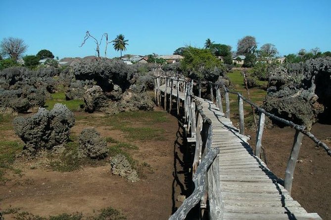Kisite Marine Park Private Boat Tour With Scuba Diving and Lunch - Included Activities