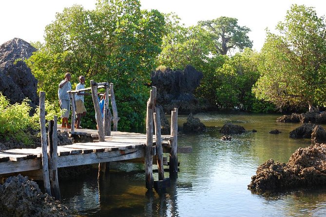 Kisite Marine Park Private Boat Tour With Scuba Diving and Lunch - Participant Requirements