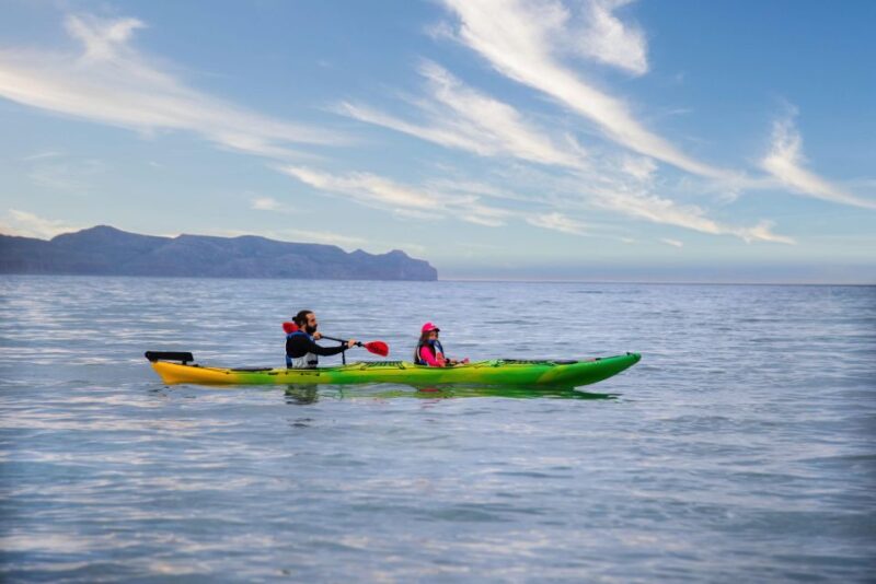 Kissamos: Sea Kayak Tour Around Kissamos Bay for Families - Safety Considerations