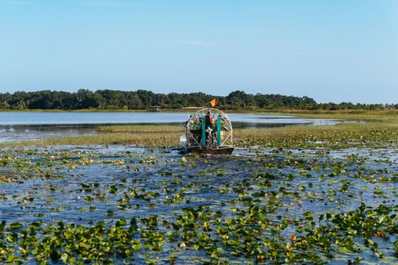 Kissimmee: 1-Hour Airboat Everglades Adventure Tour - Itinerary and Logistics