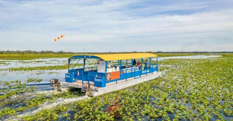 Kissimmee: 1 Hour Florida Everglades Pontoon Boat Tour - The Itinerary: What to Expect During the Hour