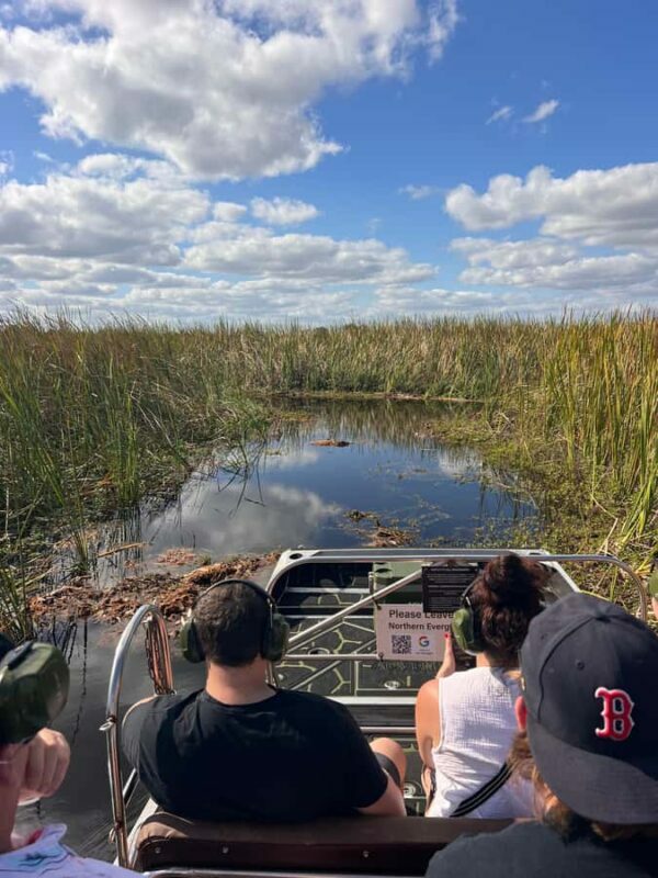 Kissimmee 90 minute Everglades Wildlife Airboat Tour - Wildlife Viewing and Conservation Insights