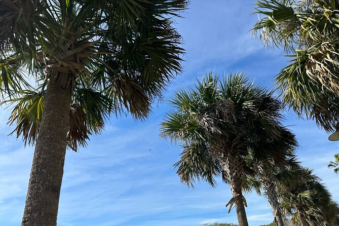 Kissimmee and St. Cloud Beach Tour on All Electric Trike (4 Hrs.) - Participant Guidelines