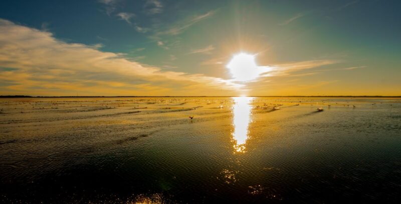 Kissimmee: Boggy Creek Sunset Airboat Tour - Guided by Experts
