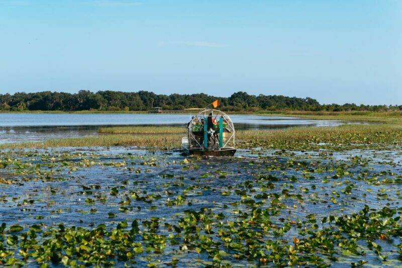 Kissimmee: Everglades Airboat Adventure Tour - Who Will Love This Tour?