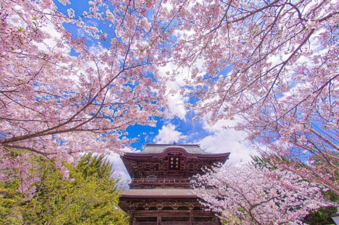 Kita-Kamakura Audio Guide Tour: Discovering Zen Serenity - Contemplating Soldiers Sacrifices