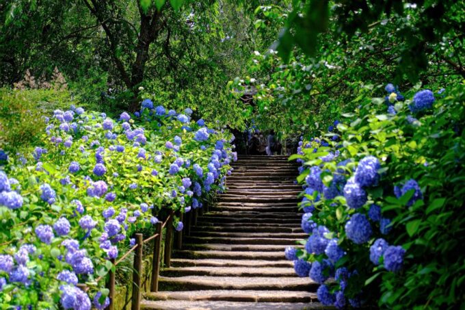 Kita-Kamakura Audio Guide Tour: Discovering Zen Serenity - Navigating the Audio Guide