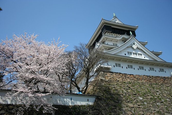 Kitakyushu Full-Day Private Trip With Government-Licensed Guide - Pickup and Transportation Details