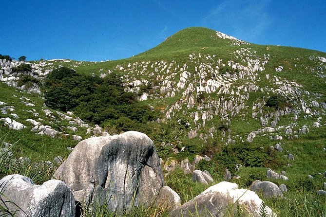 Kitakyushu Half-Day Private Trip With Government-Licensed Guide - Customizable Itinerary