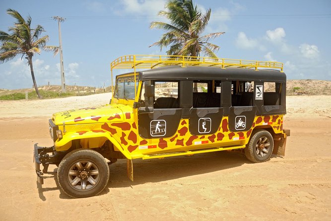 Kite Jeep Tour With Tree Canopy - Inclusions and Pricing