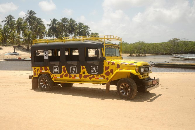 Kite Jeep Tour With Tree Canopy - Activity Details