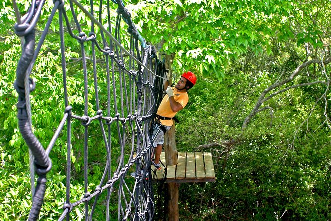 Kite Jeep Tour With Tree Canopy - Customer Reviews