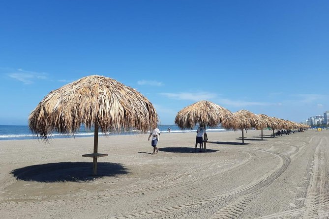 Kiteboarding School in Blue Beach, Cartagena - Equipment and Gear