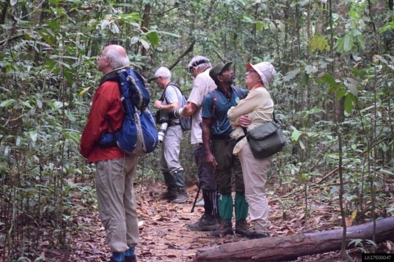 Kitulgala: Private Guided Bird Watching and Trekking Tour - Key Points