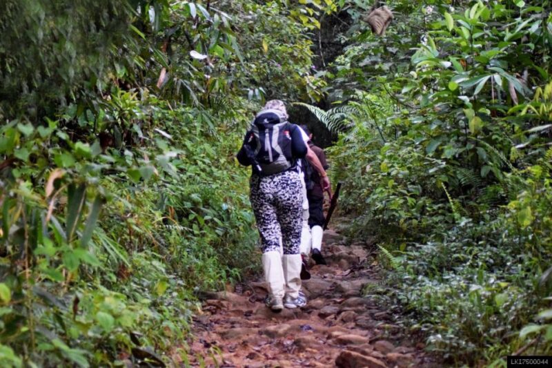 Kitulgala: Private Guided Bird Watching and Trekking Tour - Wildlife and Habitat