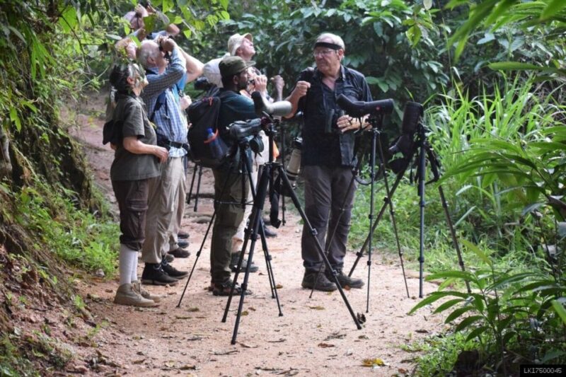 Kitulgala: Private Guided Bird Watching and Trekking Tour - Recap