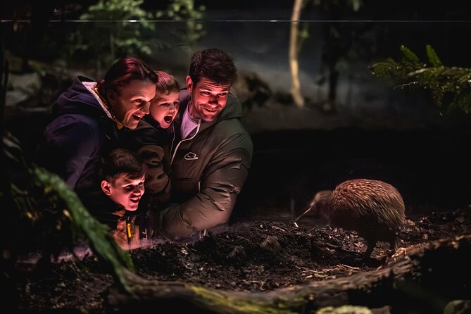 Kiwi Park Queenstown Admission - Nocturnal Kiwi Viewing