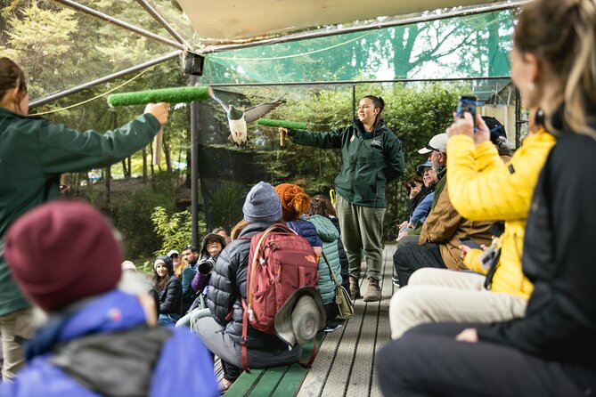Kiwi Park Queenstown Admission - Free-flying Bird Shows