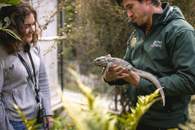 Kiwi Park Queenstown Admission - Tuatara Encounter Experience