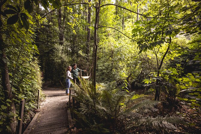 Kiwi Park Queenstown Admission - Forest Trails and Conservation