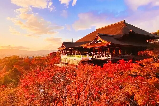 Kiyomizu Temple Fushimi Inari and Nara Park Day Tour Kyoto/Osaka - Cancellation and Refund Policy