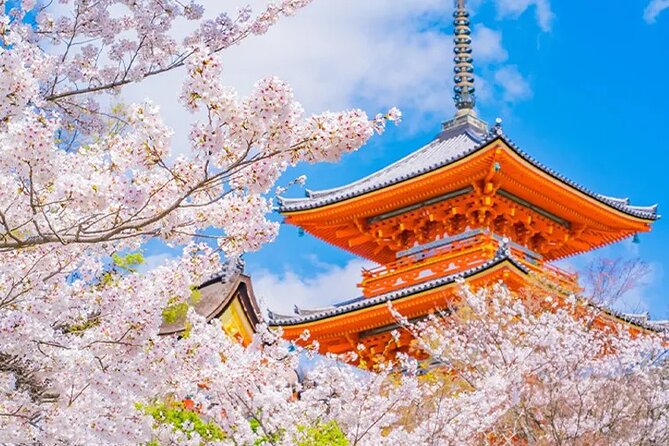 Kiyomizu Temple Fushimi Inari and Nara Park Day Tour Kyoto/Osaka - Discovering the Wonders of Nara Park