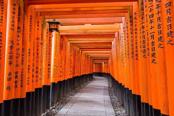 Kiyomizu Temple Fushimi Inari and Nara Park Day Tour Kyoto/Osaka - What to Expect on the Tour