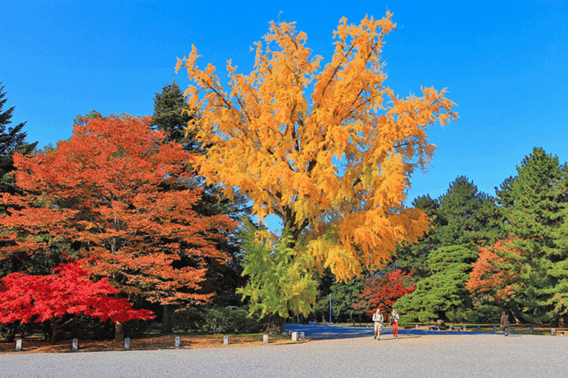 KIYOTOs Kyoto E-Bike Tour - What to Bring and Additional Information
