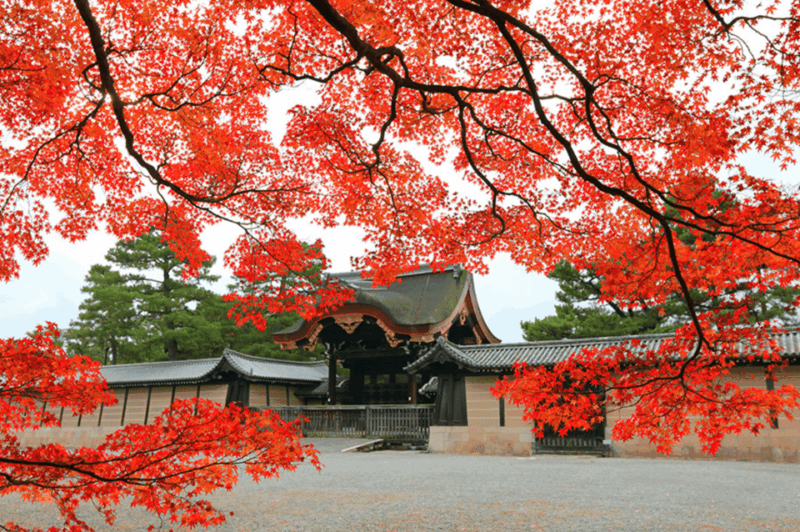 KIYOTOs Kyoto E-Bike Tour - Exploring Nijo Castle