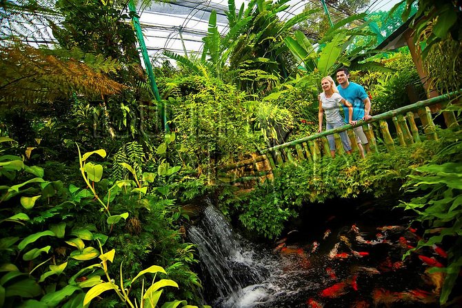 KL Butterfly Park Admission With Kuala Lumpur Famous Landmarks - Nature and Adventure Tours