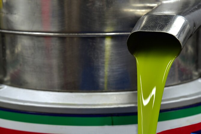 Kleanthi Olive Farm: Guided Tour With Local Delicacies Tasting - Culinary Delights and Lunch