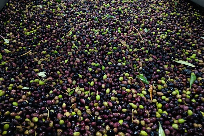 Kleanthi Olive Farm: Guided Tour With Local Delicacies Tasting - Additional Travel Information