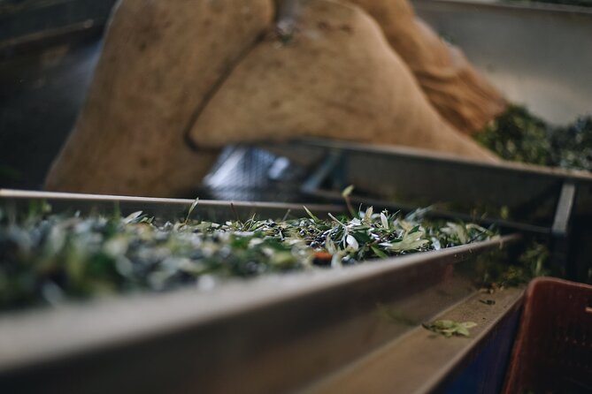 Kleanthi Olive Farm: Guided Tour With Local Delicacies Tasting - Recommended for Olive Oil Enthusiasts