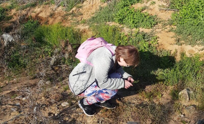 Klein Karoo - Nature Walk With a Picnic - Included Experiences